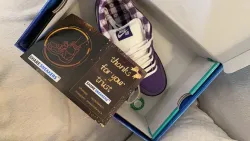 PKGoden Dunk SB Low Concepts Purple Lobster,  BV1310-555 review Max Brinkel