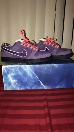 PKGoden Dunk SB Low Concepts Purple Lobster,  BV1310-555 review Marvin Ariotu