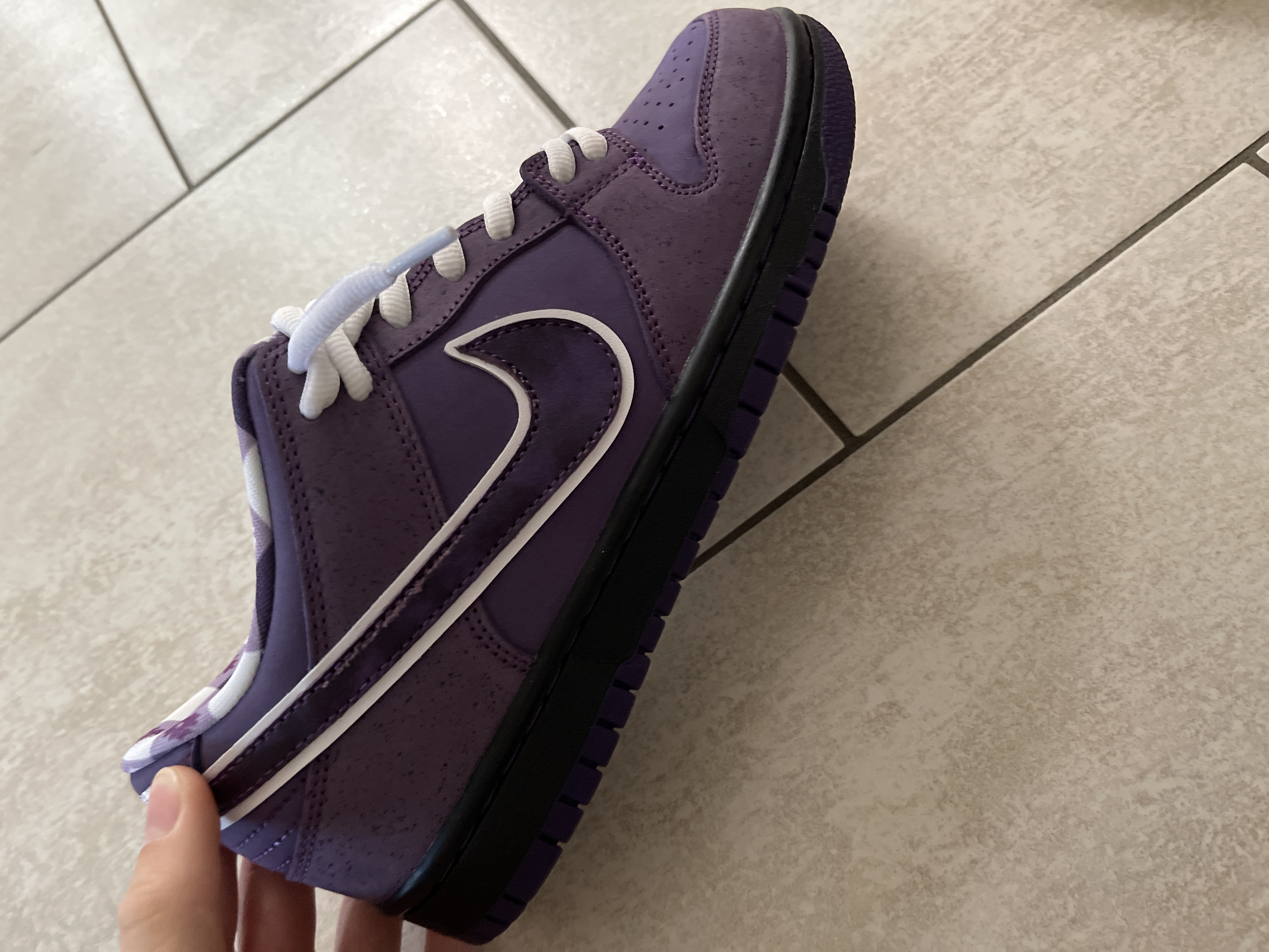 PKGoden Dunk SB Low Concepts Purple Lobster,  BV1310-555 review Leon 00
