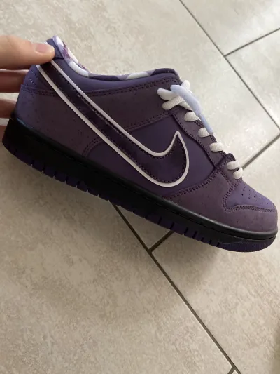 PKGoden Dunk SB Low Concepts Purple Lobster,  BV1310-555 review Leon 00