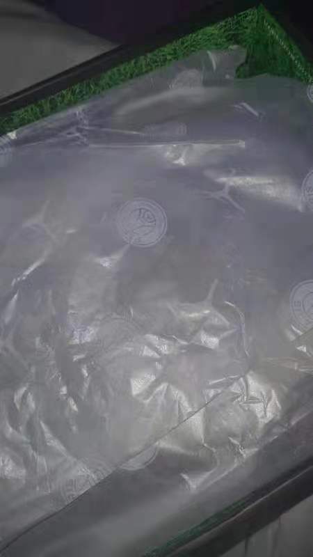 PKGoden Jordan 4 Retro PSG Paris Saint-Germain,  CZ5624-100 review Rocio Dominguez 04