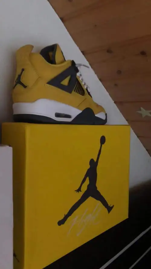 PKGoden Jordan 4 Jordan 4 Retro Lightning, 314254-702 review 