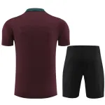 Paris Saint Germain 23/24 Training Suit Dark red