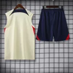 Paris Saint Germain 23/24 Vest Training Suit Yellow and Blue