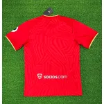 Sevilla FC 23/24 Away Soccer Jersey