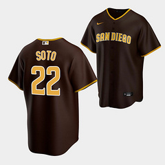 Juan Soto San Diego Padres Nike Alternate Replica Player Jersey - Brown