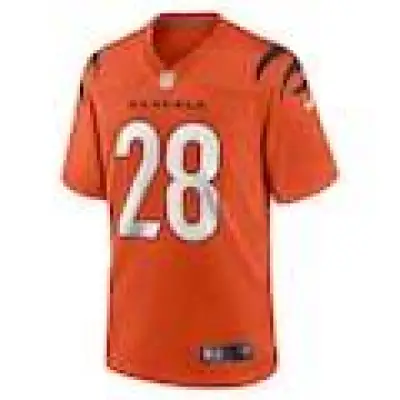 Men's Corey Dillon Cincinnati Bengals Nike Retired Player Alternate Game Jersey - Orange 01