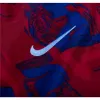 Nike Atletico Madrid Pre Match Jersey 2324