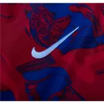 Nike Atletico Madrid Pre Match Jersey 2324