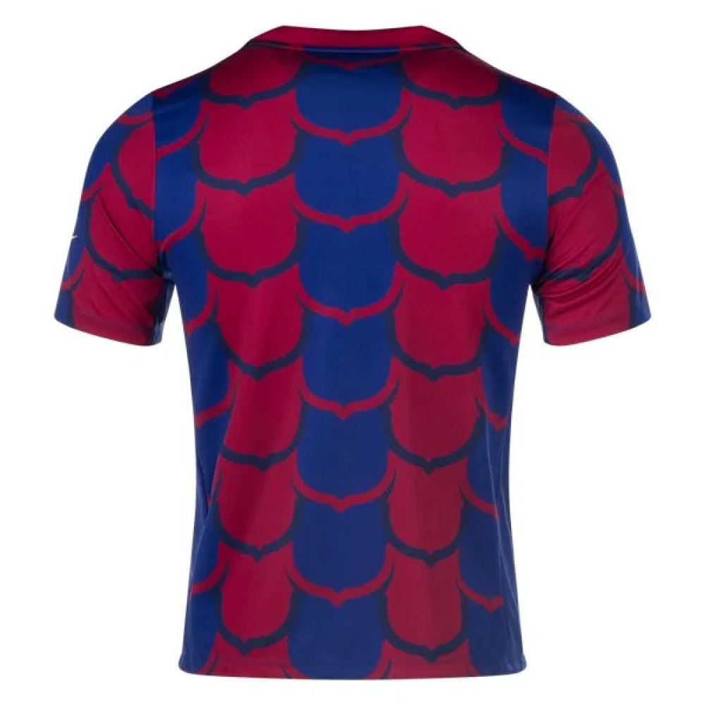Nike Barcelona Pre Match Training Special Edition Jersey 2324