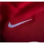 Nike Paris Saint-Germain Pre Match Home Training Jersey 2324