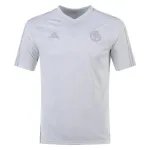 Adidas Bayern Munich European Training Jersey 2324