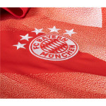 Adidas Bayern Munich Pre Match Training Jersey 2324