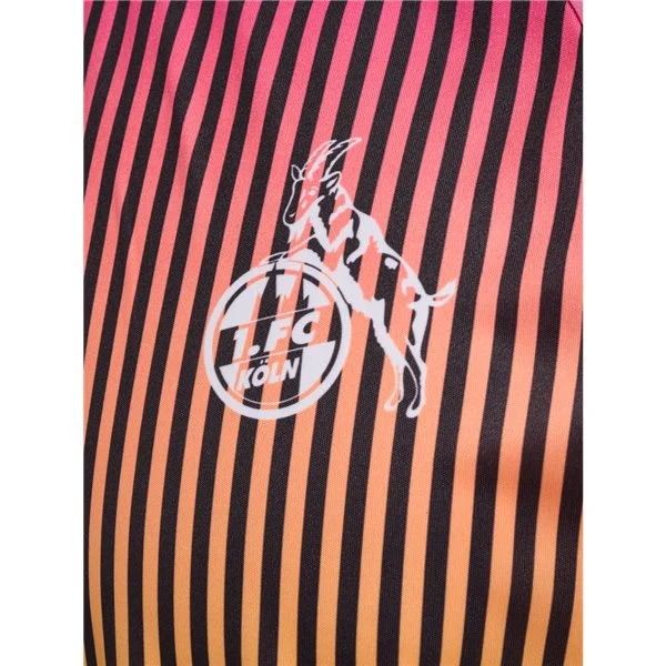 Men's Hummel FC Koln 2324 Equality Jersey