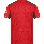 Men's Replica Castore Wolverhampton Away Jersey 2324
