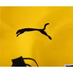 Men's Replica Puma Borussia Dortmund Home Jersey 2324