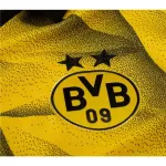 Men's Replica Puma Borussia Dortmund Third Jersey 2324 - UCL