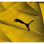 Men's Replica Puma Borussia Dortmund Third Jersey 2324 - UCL