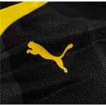 Puma Borussia Dortmund Pre Match Training Jersey 2324