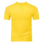 Puma Borussia Dortmund Training Jersey 2324 Yellow