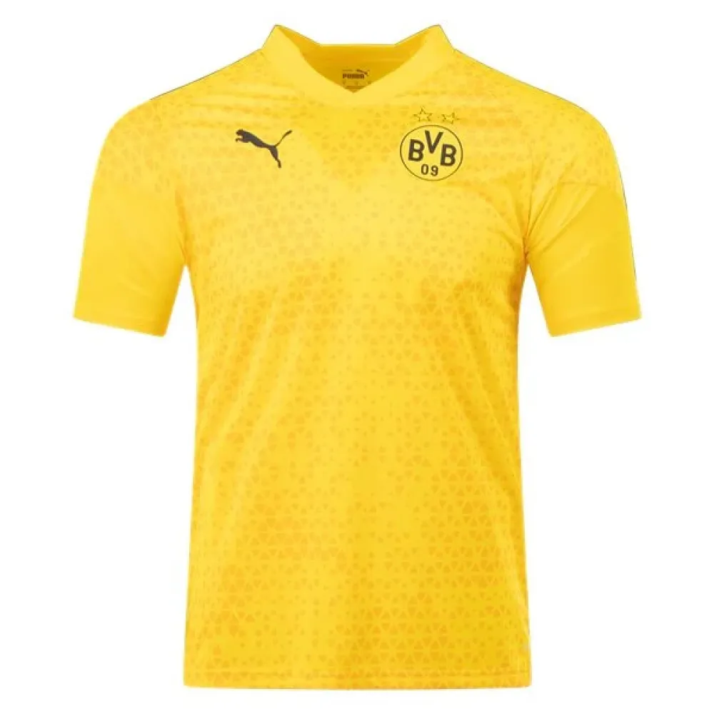 Puma Borussia Dortmund Training Jersey 2324 Yellow