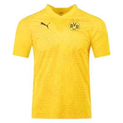 Puma Borussia Dortmund Training Jersey 2324 Yellow 01