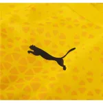 Puma Borussia Dortmund Training Jersey 2324 Yellow