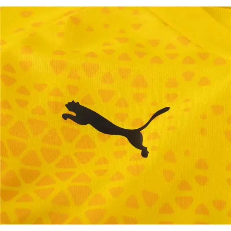 Puma Borussia Dortmund Training Jersey 2324 Yellow