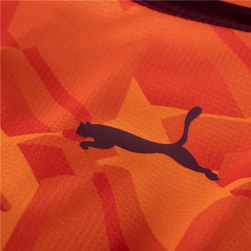 Men's Puma Manchester City Esports Jersey 2324