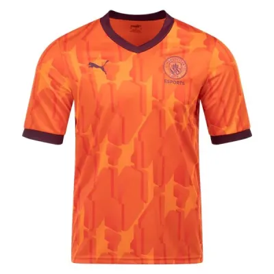 Men's Puma Manchester City Esports Jersey 2324 01
