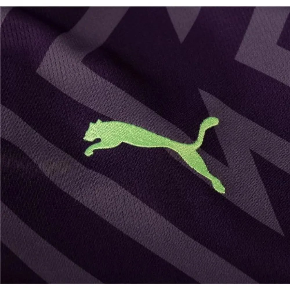 Men's Puma Manchester City Goalkeeper Jersey 2324