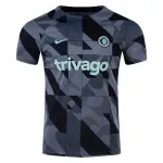 Men's Nike Chelsea Pre Match Training Jersey 2324 Gray