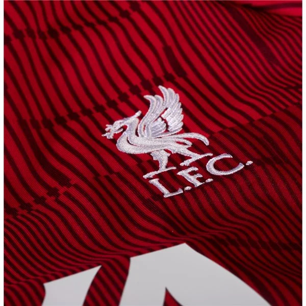 Nike Liverpool Pre Match Home Training Jersey 2324