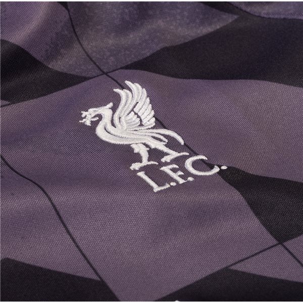 Nike Liverpool Pre Match Training Jersey 2324