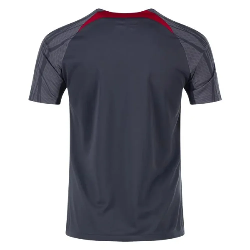 Nike Liverpool Training Jersey 2324 Silver