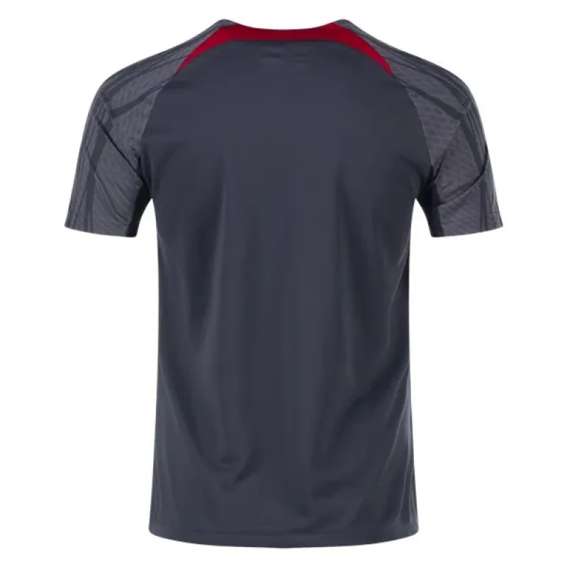 Nike Liverpool Training Jersey 2324 Silver