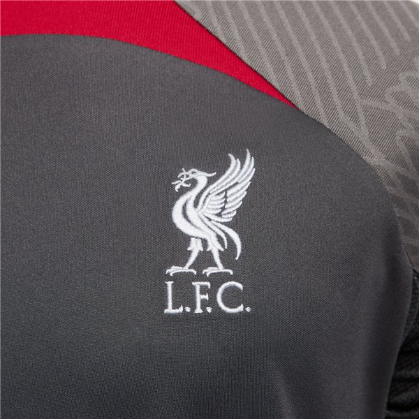 Nike Liverpool Training Jersey 2324 Silver