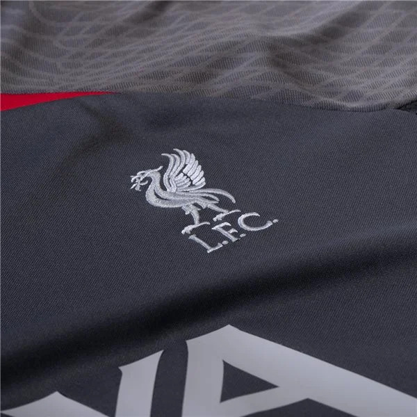 Nike Liverpool Training Jersey 2324 Silver