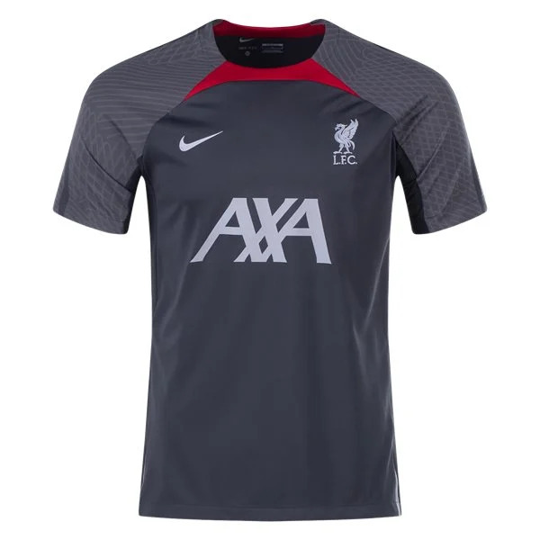 Nike Liverpool Training Jersey 2324 Silver