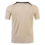 Nike Tottenham Hotspur Training Jersey 2324 Gold
