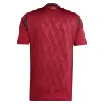 Belgium FA National Team adidas 2024 Home Authentic Jersey