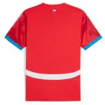 Czech Republic National Team Puma 2024 Home Replica Jersey