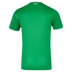 Republic of Ireland National Team Castore 2024 Home Authentic Jersey
