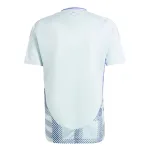 Scotland National Team 2024 Away Replica Jersey