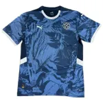 Paraguay National Team 2024 Away Replica Jersey