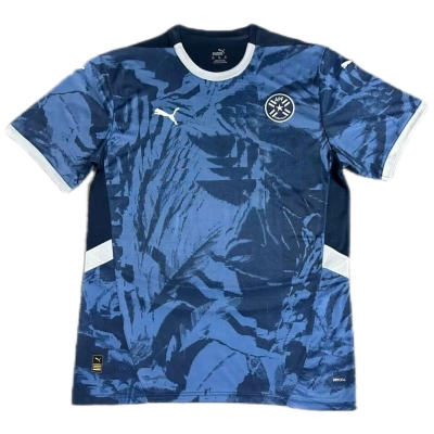 Paraguay National Team 2024 Away Replica Jersey 01