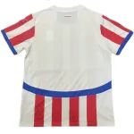 Paraguay National Team 2024 Home Replica Jersey