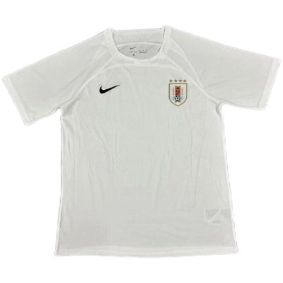 Uruguay National Team 2024 Away Authentic Jersey 01