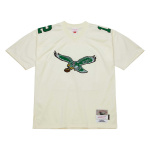 Men's Philadelphia Eagles Randall Cunningham Mitchell & Ness Cream Chainstitch Legacy Jersey