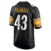 Men's Pittsburgh Steelers Troy Polamalu Nike Black Retired Player Game Jersey